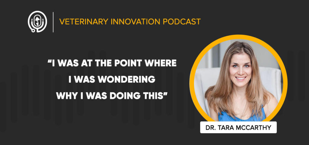 dr-tara-mccarthy-at-the-veterinary-innovation-podcast