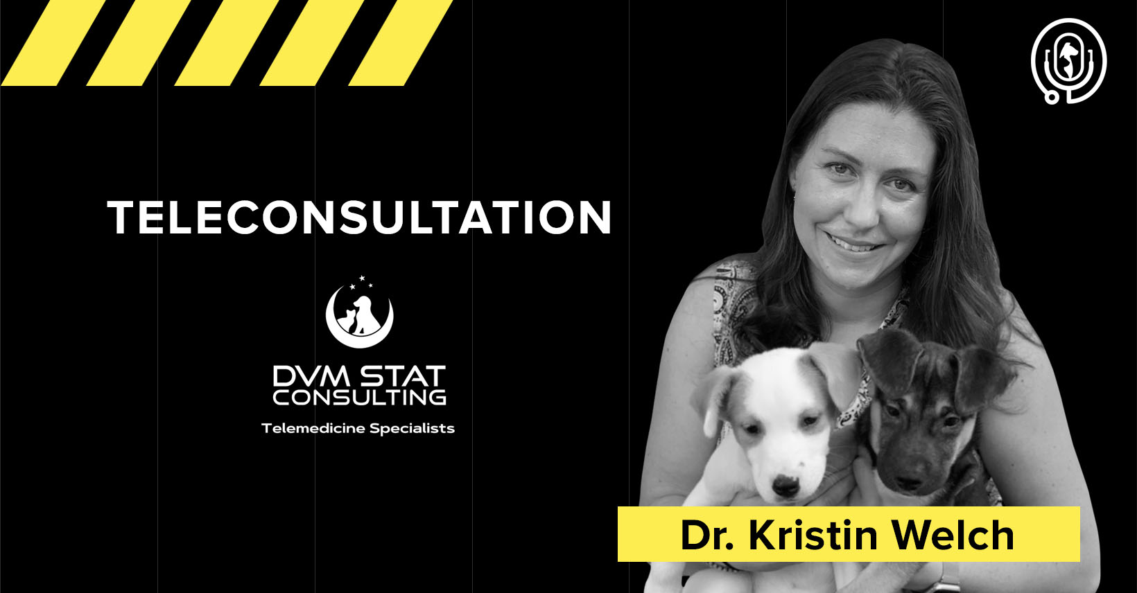 Teleconsultation in the Veterinary domain