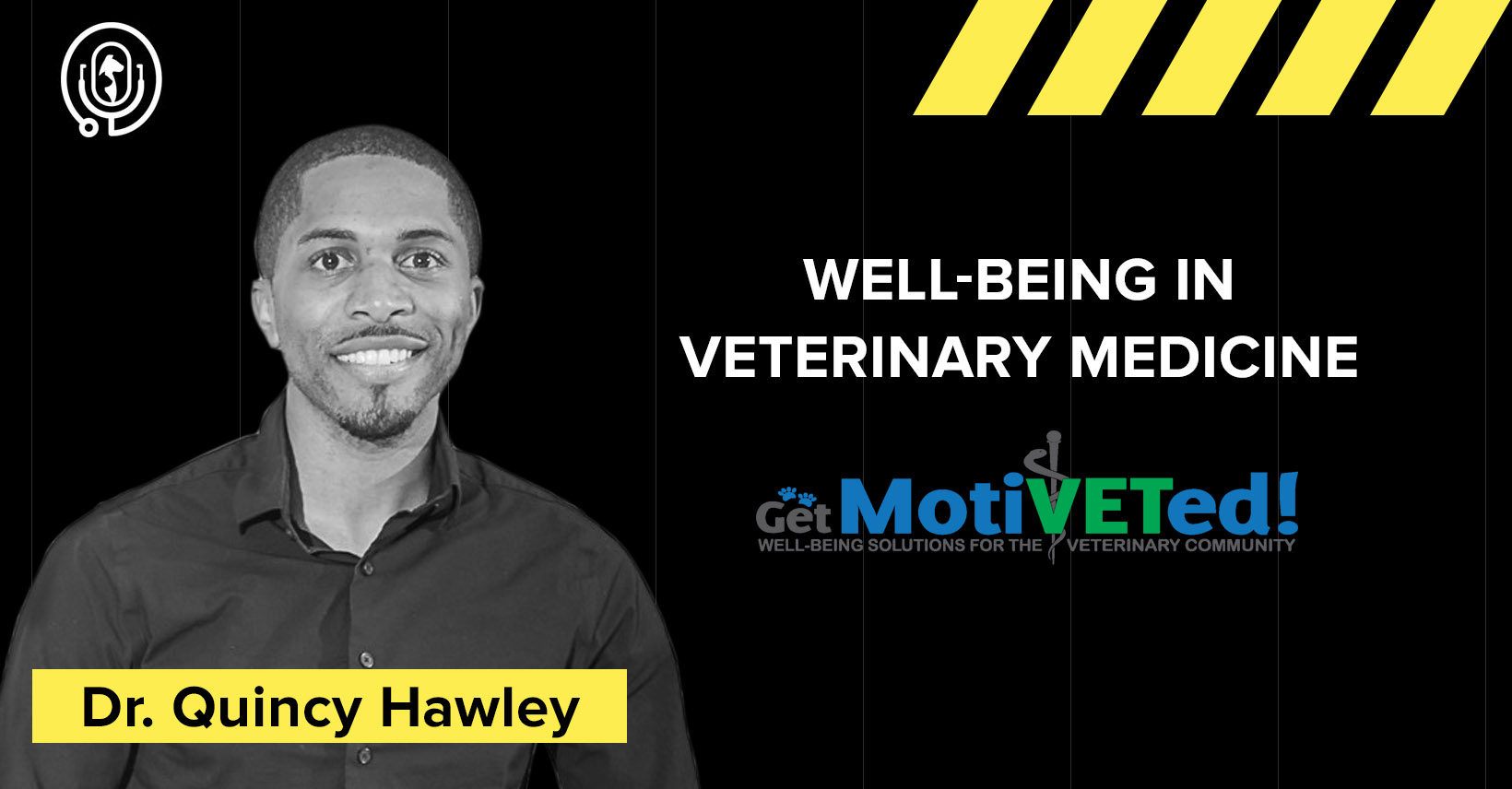 WellBeing in Veterinary Medicine