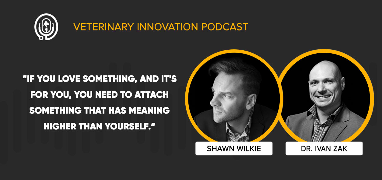 2021 Burnout Survey Results