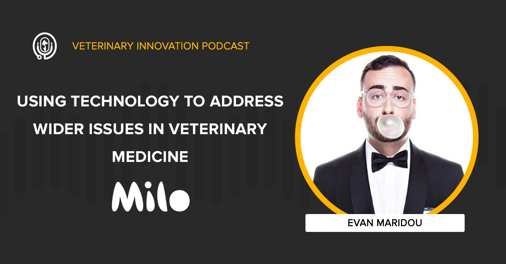 Using Technology to Address Wider Issues in Veterinary Medicine