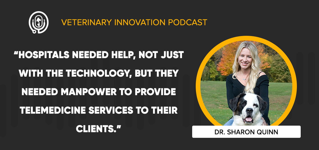 Telemedicine Services for Clinics