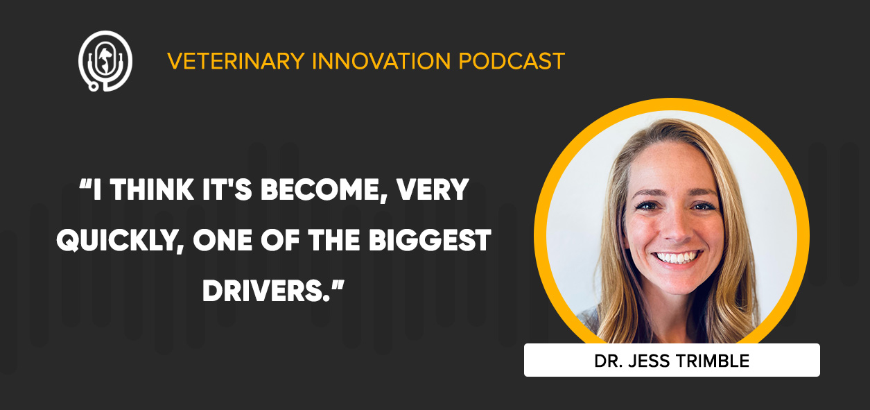 Telehealth Staff Augmentation