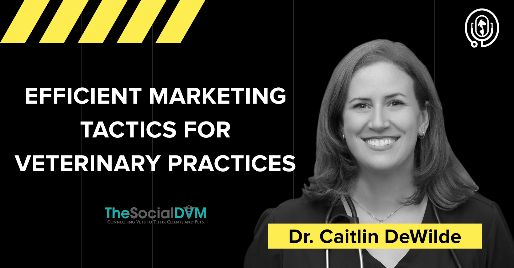 Efficient Marketing Tactics for Veterinary Practices